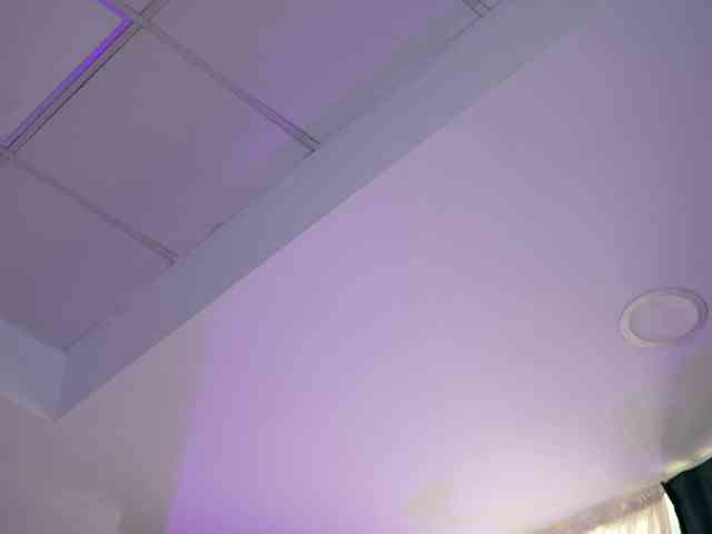 ArtTeasee