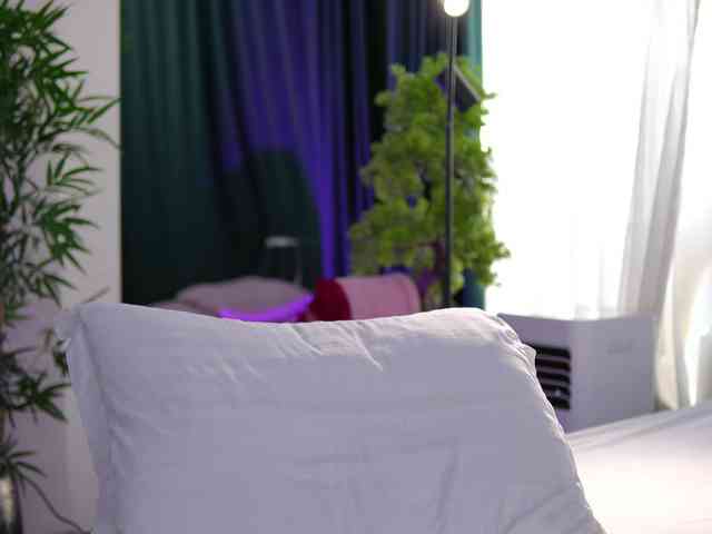 ArtTeasee webcam