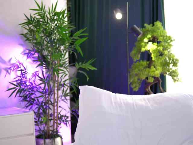 ArtTeasee