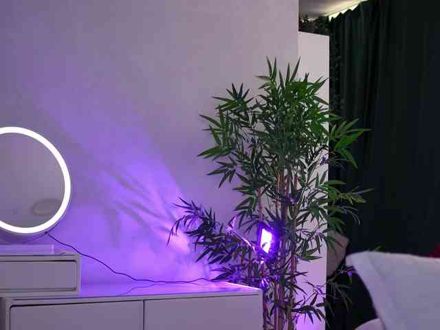 ArtTeasee webcam