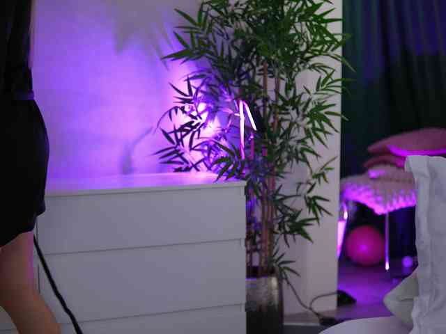 ArtTeasee