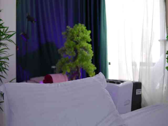 ArtTeasee