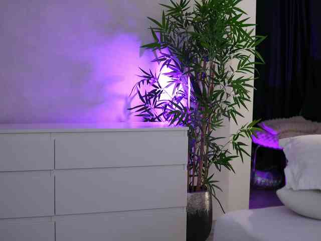 ArtTeasee