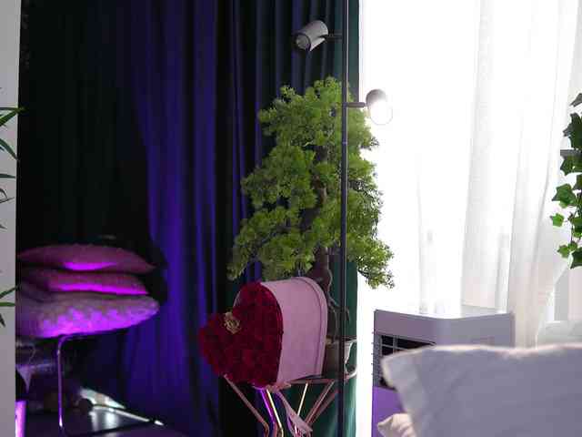 ArtTeasee