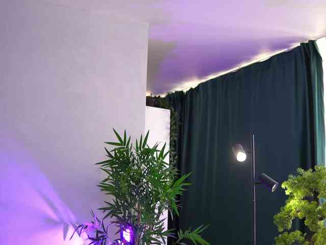 ArtTeasee