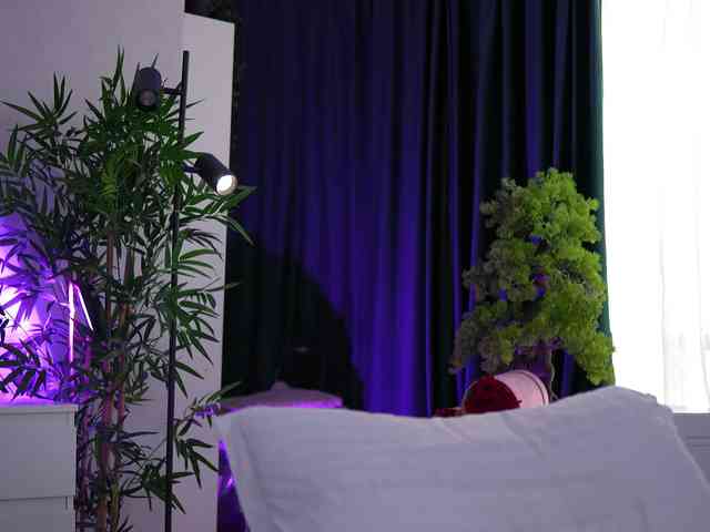 ArtTeasee webcam