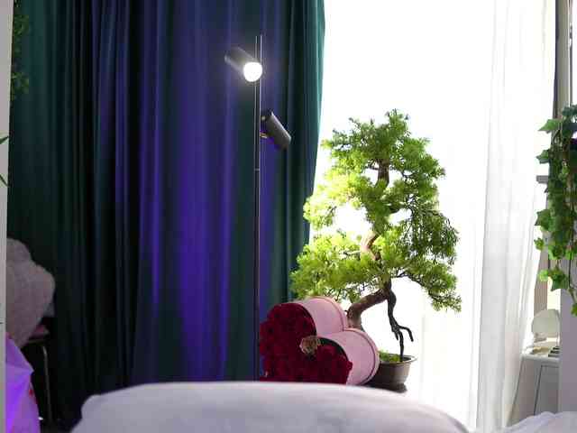 ArtTeasee