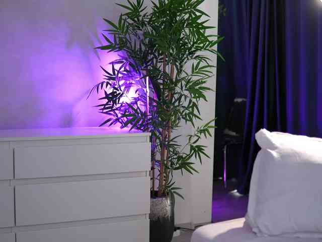 ArtTeasee