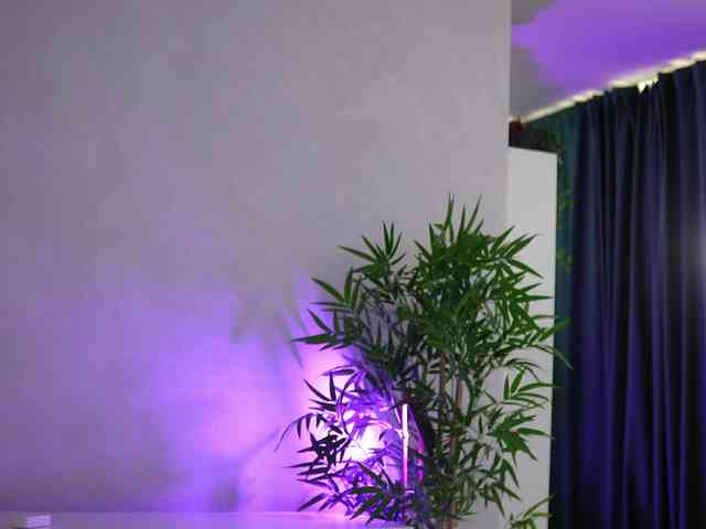ArtTeasee