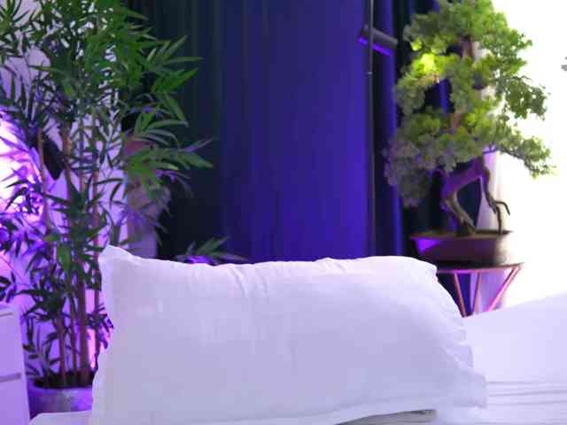 ArtTeasee
