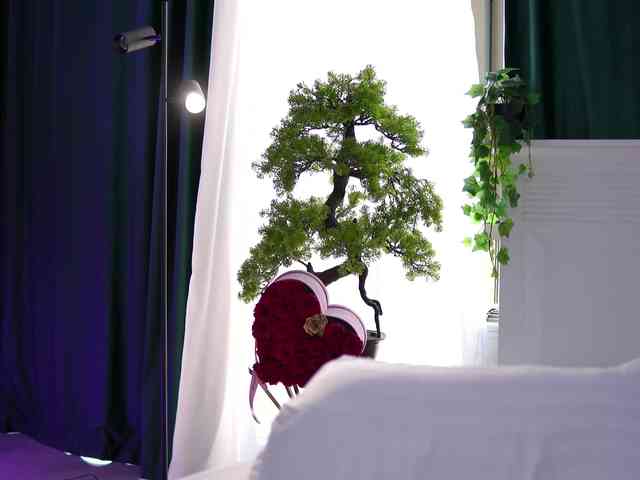 ArtTeasee