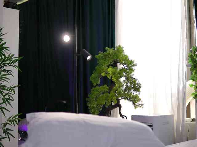 ArtTeasee webcam