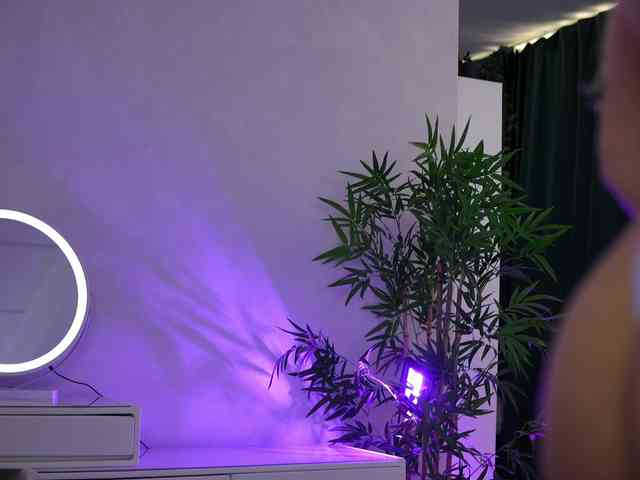 ArtTeasee ArtTeasee