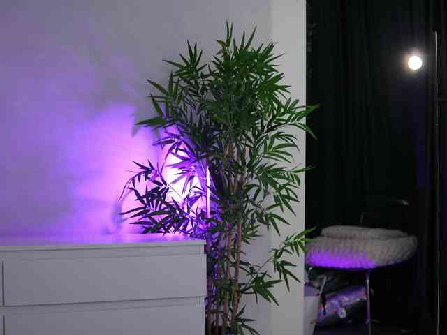 ArtTeasee