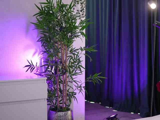 ArtTeasee Live Webcam on BongaCams