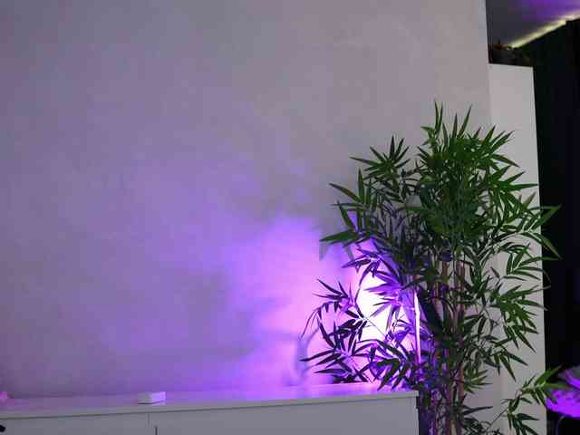 ArtTeasee