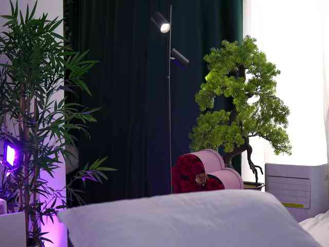 ArtTeasee — International live cam