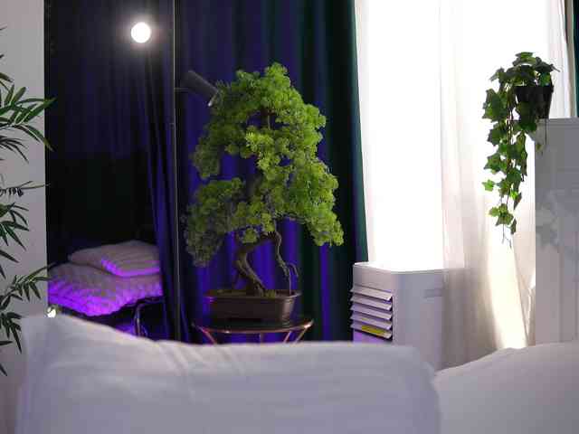 ArtTeasee webcam