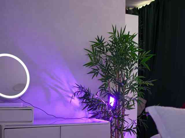 ArtTeasee webcam