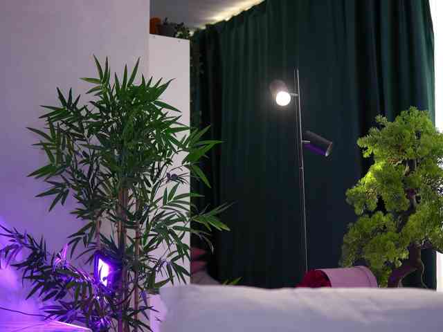 artteasee