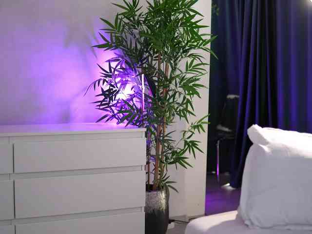 ArtTeasee