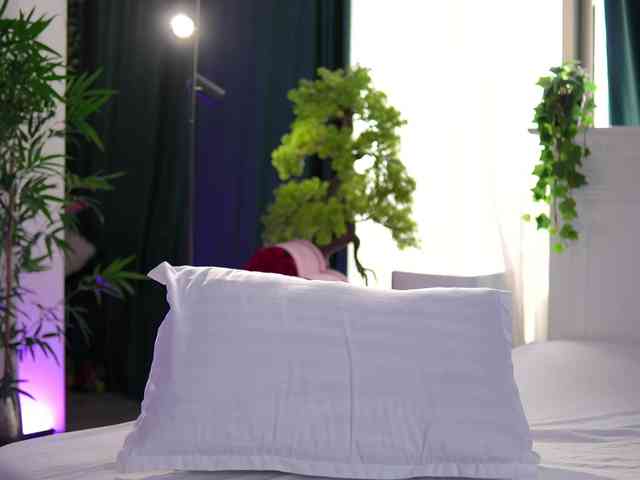ArtTeasee