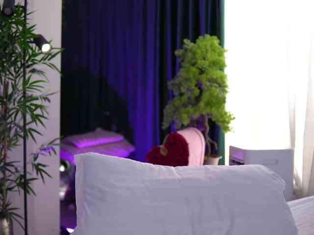 ArtTeasee webcam