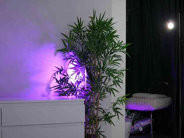 ArtTeasee