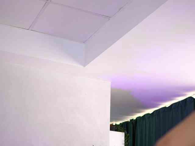 ArtTeasee