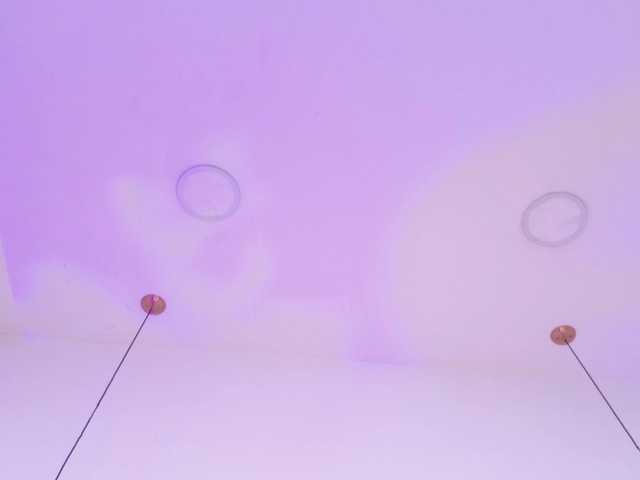BREE-WATSON live cam on BongaCams