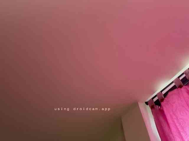 BREE-WATSON webcam