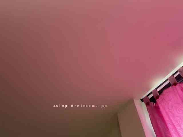 BREE-WATSON webcam