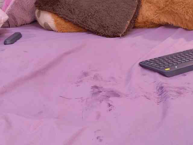BREE-WATSON webcam