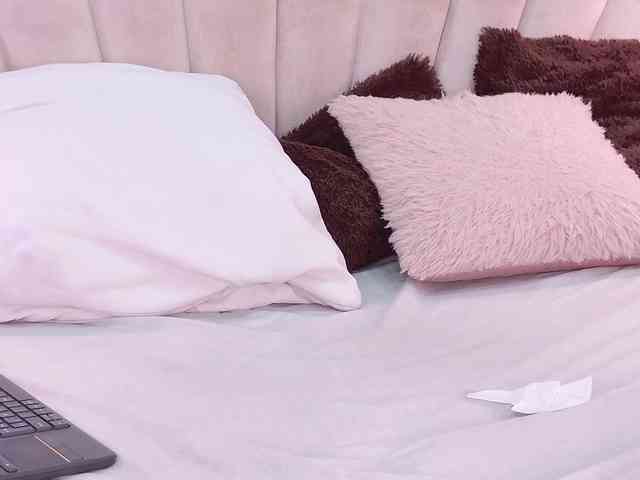 BREE-WATSON webcam