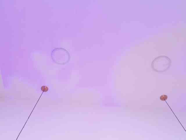 BREE-WATSON webcam