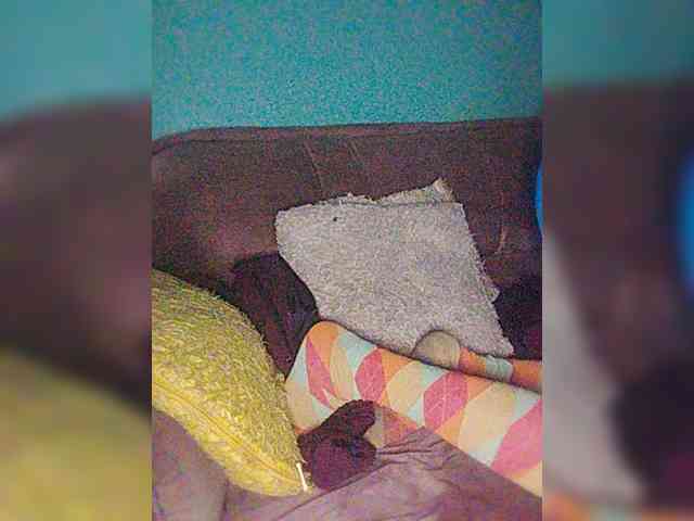 chibaby1