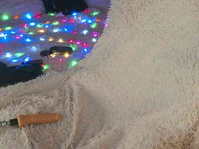 Marsisha webcam