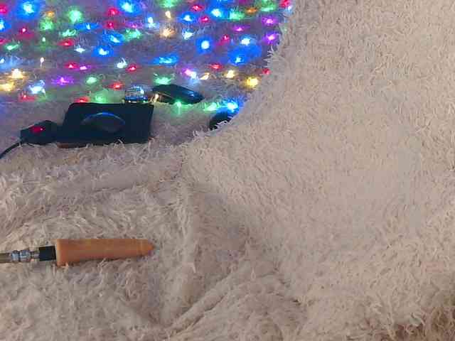 Marsisha webcam