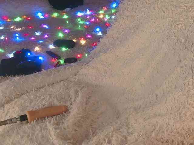 Marsisha webcam