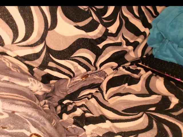 yzza-suave webcam