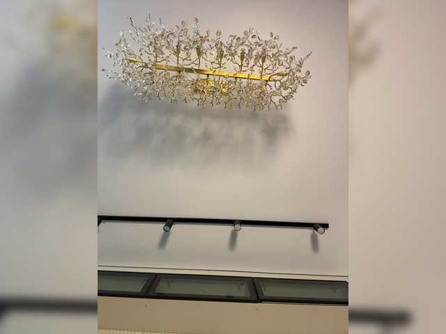 go to chat with Adel9