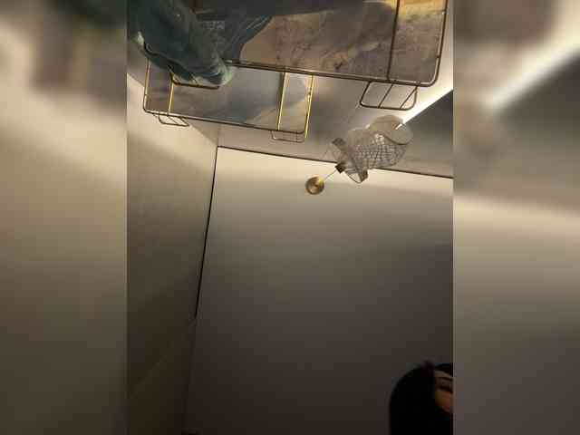 Adel9
