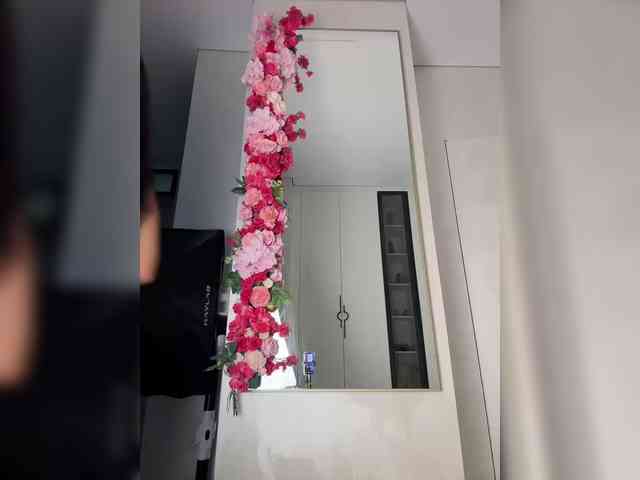 Adel9 webcam