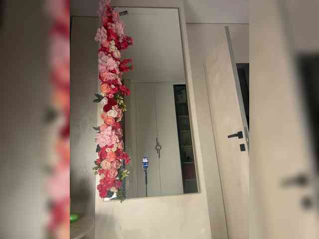 Adel9 webcam