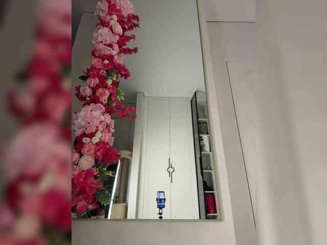 Adel9 webcam