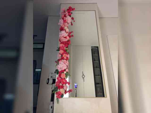 Adel9 webcam