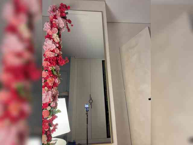 Adel9 webcam
