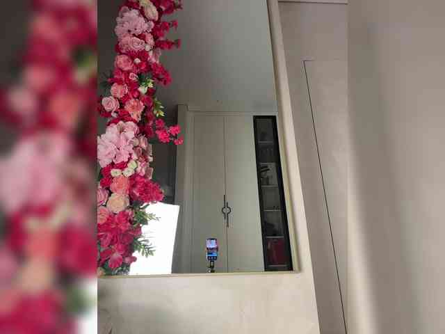 Adel9 webcam
