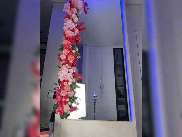 Adel9 webcam