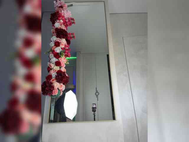 Adel9 webcam